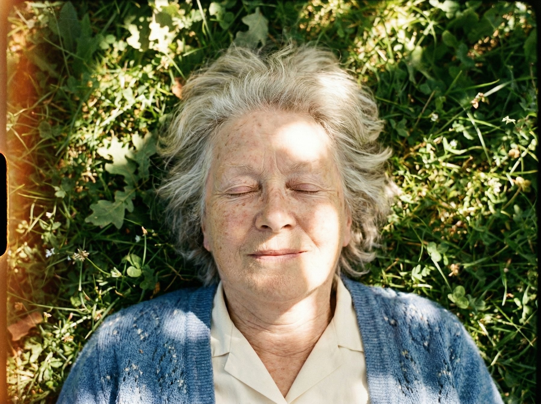 Elder in foliage