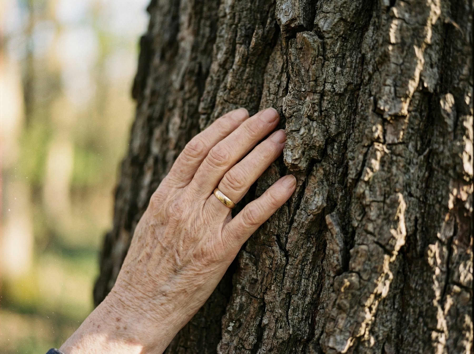 Hand on bark