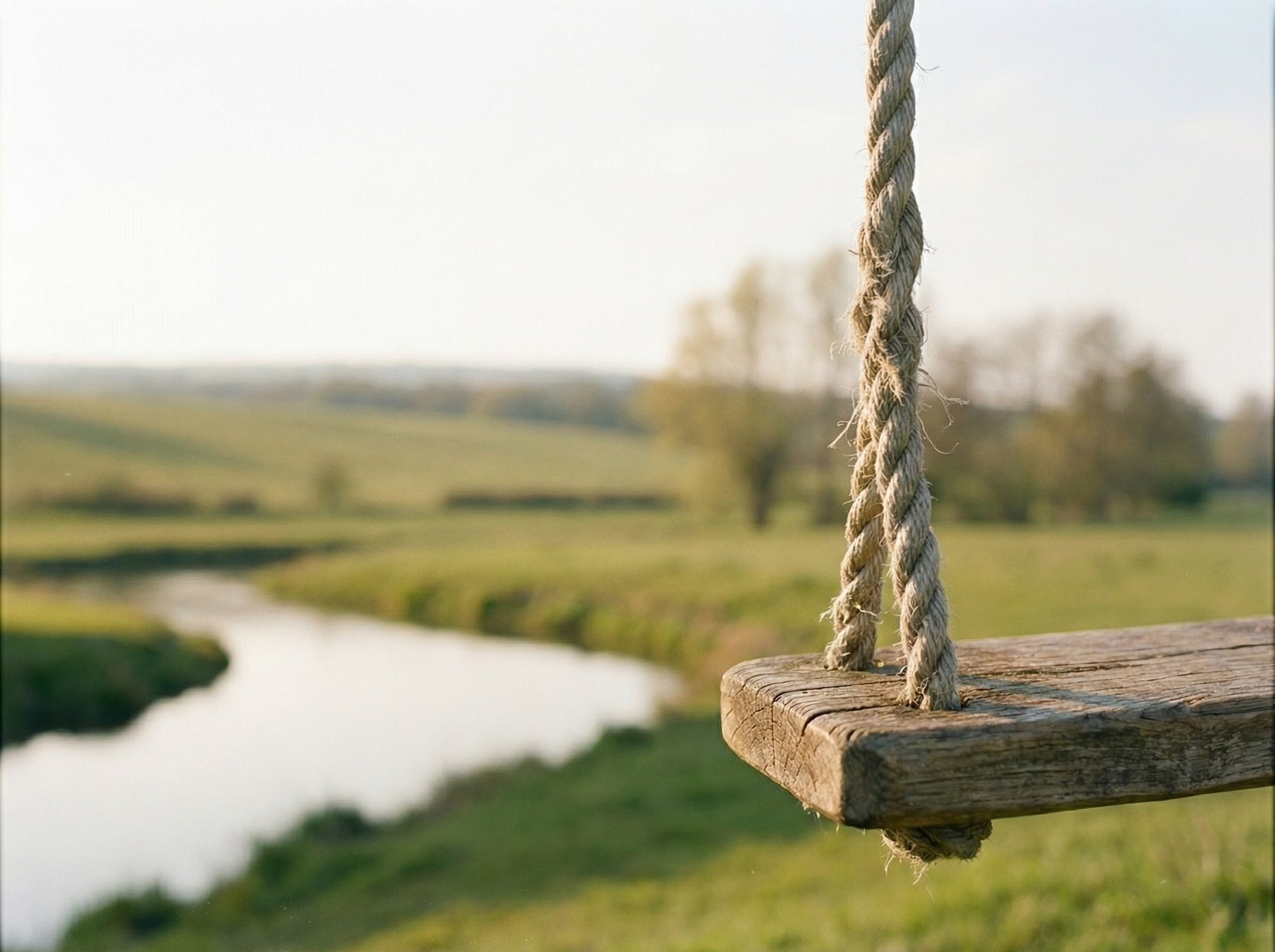 The swing