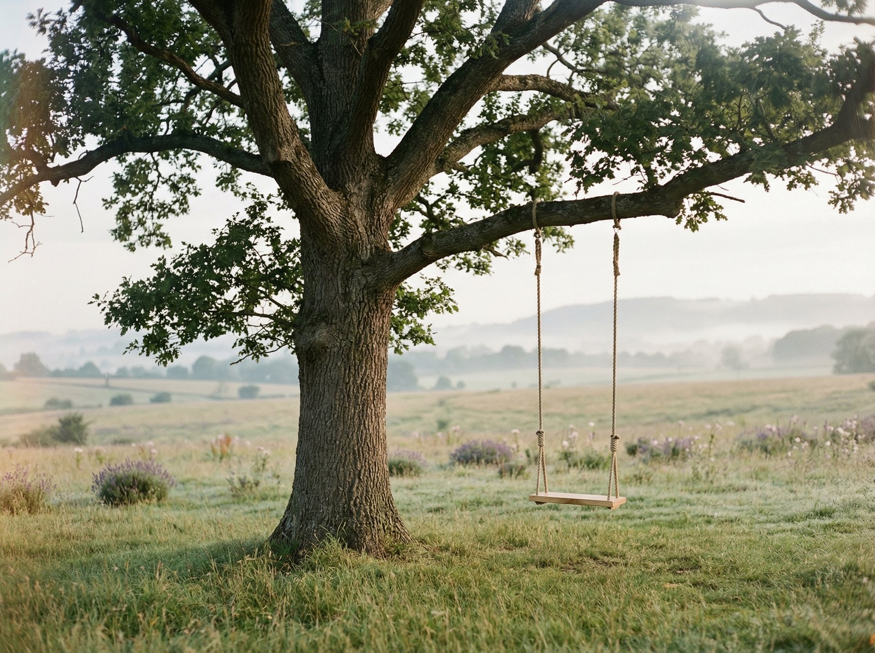 Spring 26, a visual diary