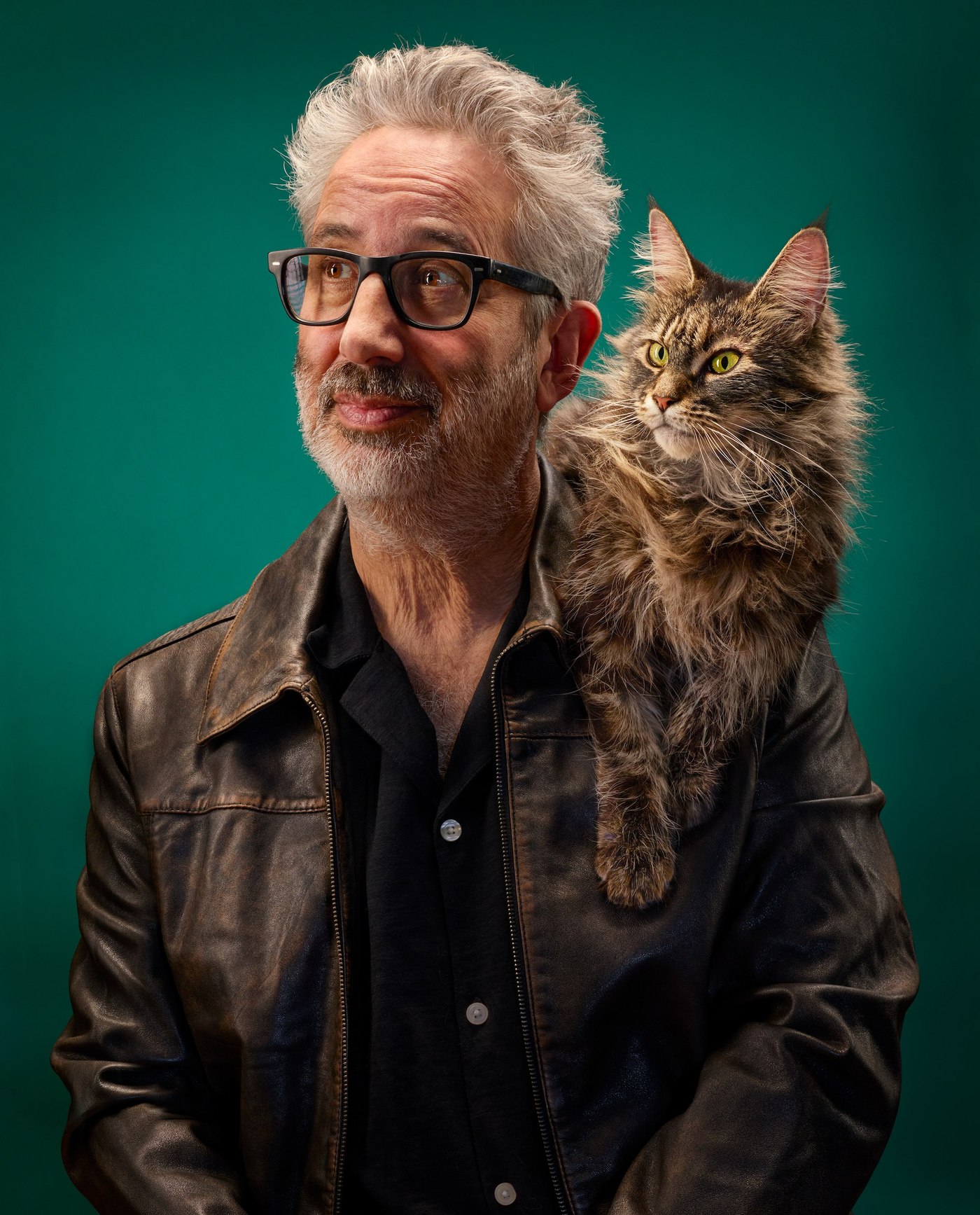 David Baddiel: Cat Man campaign image