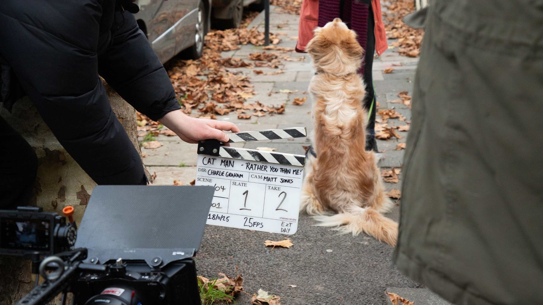 On set with the clapperboard, David Baddiel: Cat Man