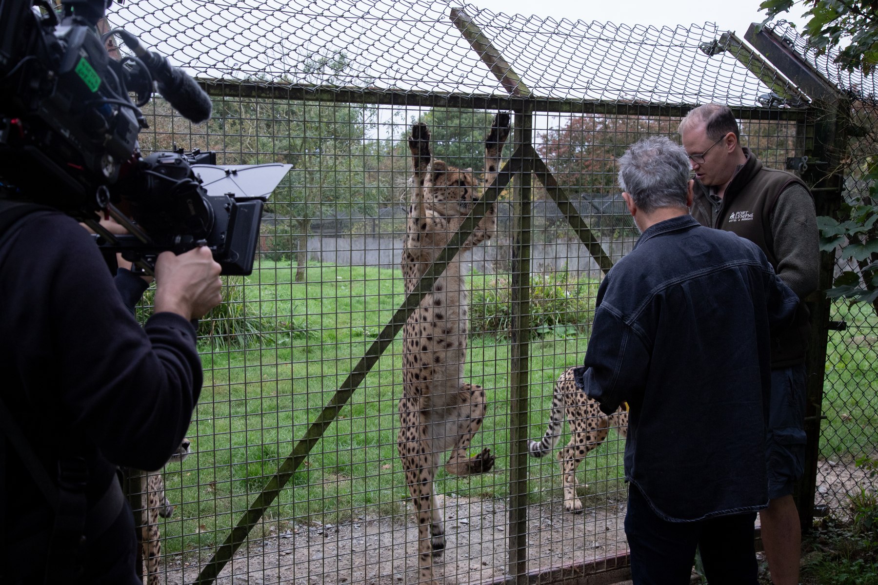Behind the scenes, David Baddiel: Cat Man
